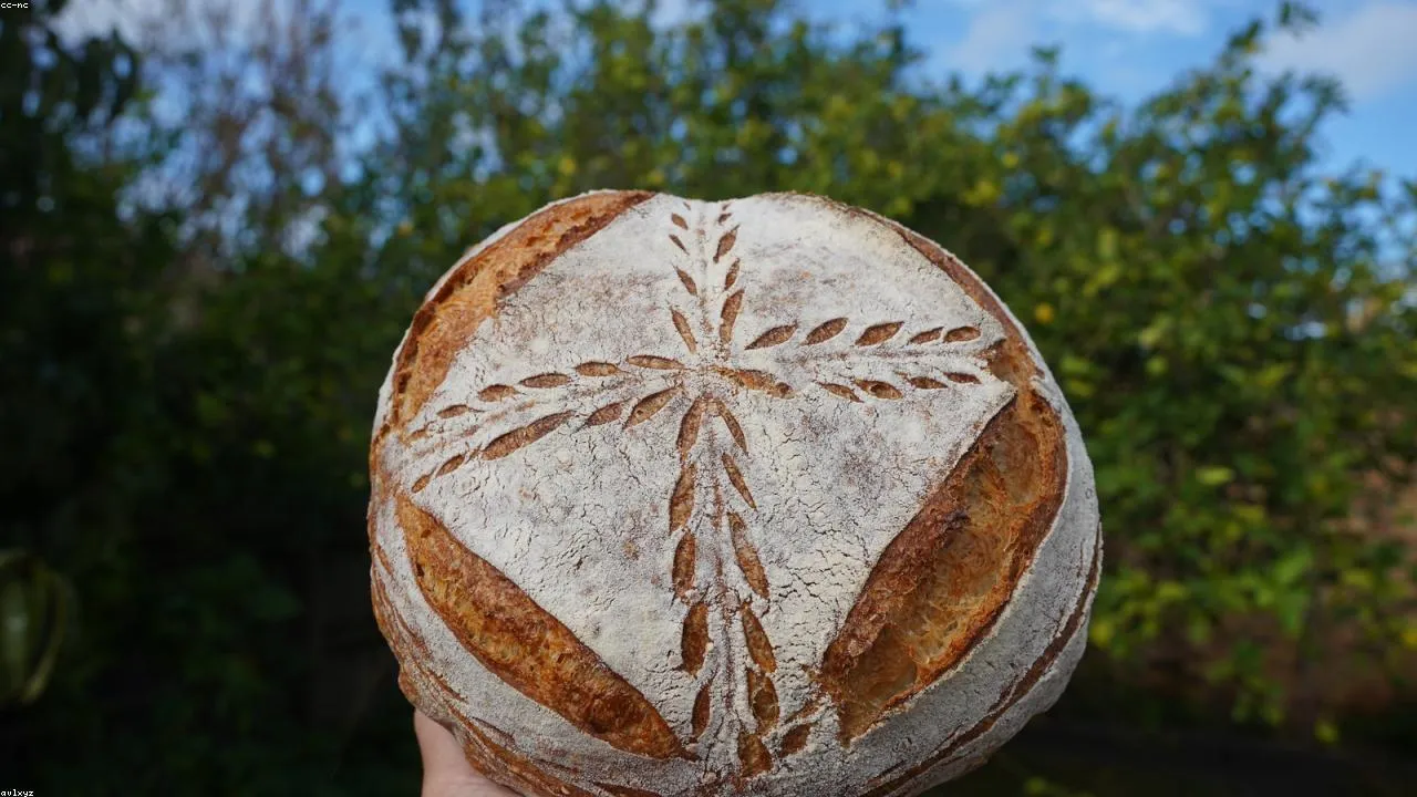 A loaf worth the two-day wait